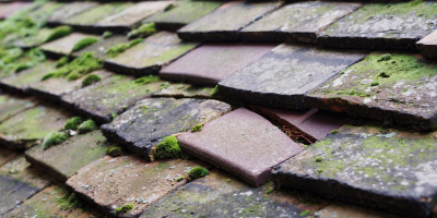Hollybush Hill roof repair costs